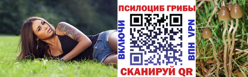 Псилоцибиновые грибы Cubensis Таганрог