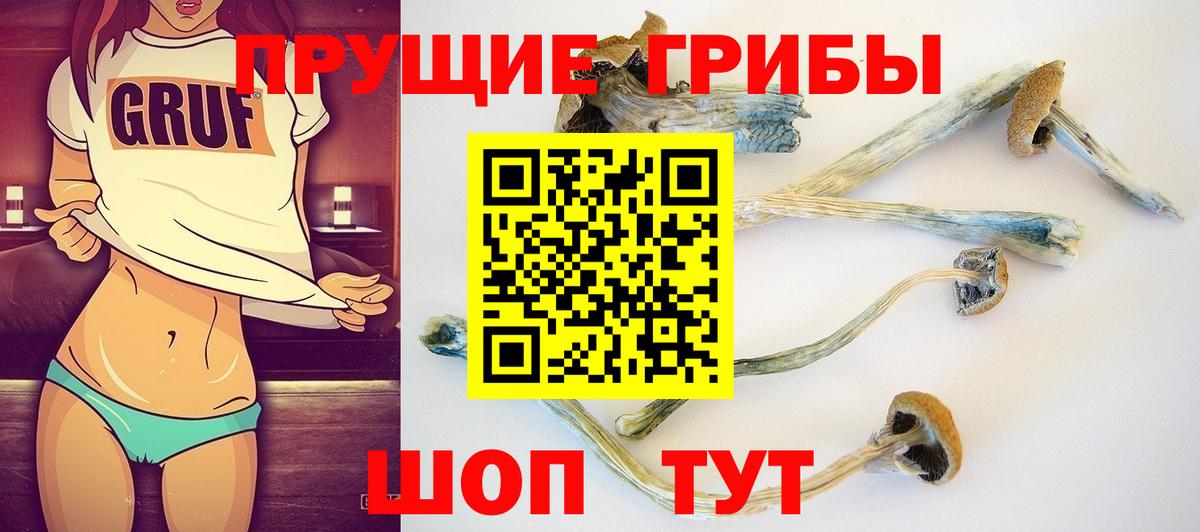 Таганрог  купить наркотики цена  Вход с VPN  Псилоцибиновые грибы мицелий 