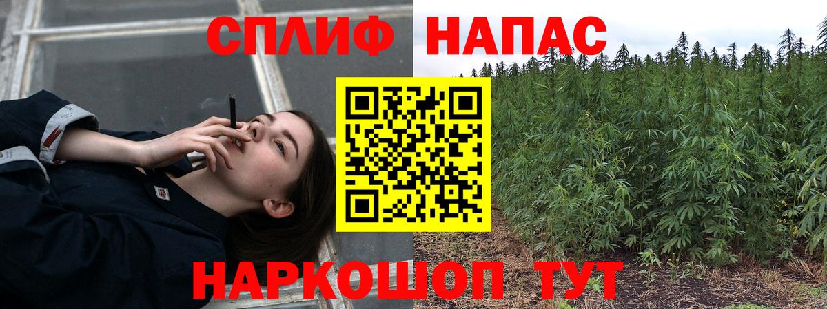 Бошки марихуана White Widow  Вход с VPN  МАРИХУАНА White Widow  Таганрог  Каннабис SATIVA & INDICA  МАРИХУАНА AK-47 